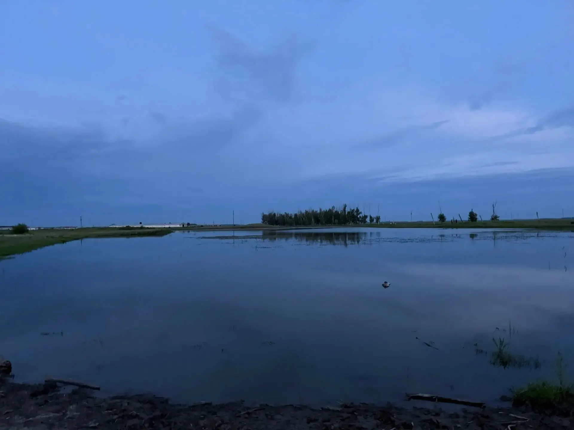 В Щербакульском районе Омской области ребёнок попытался переплыть котлован и утонул; возбуждено уголовное дело о причинении смерти по неосторожности.