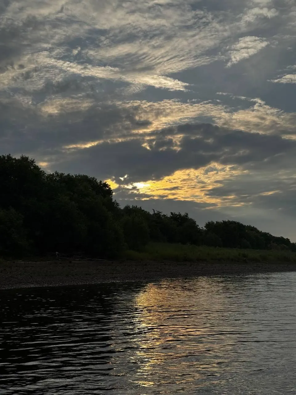 Он движется к Охотскому морю и превзошёл прошлый рекорд: прошёл Благовещенск, почти достиг Хабаровска, за отчётный период похудел более чем на 17 кг и ежедневно расходует свыше 4 000 ккал.
