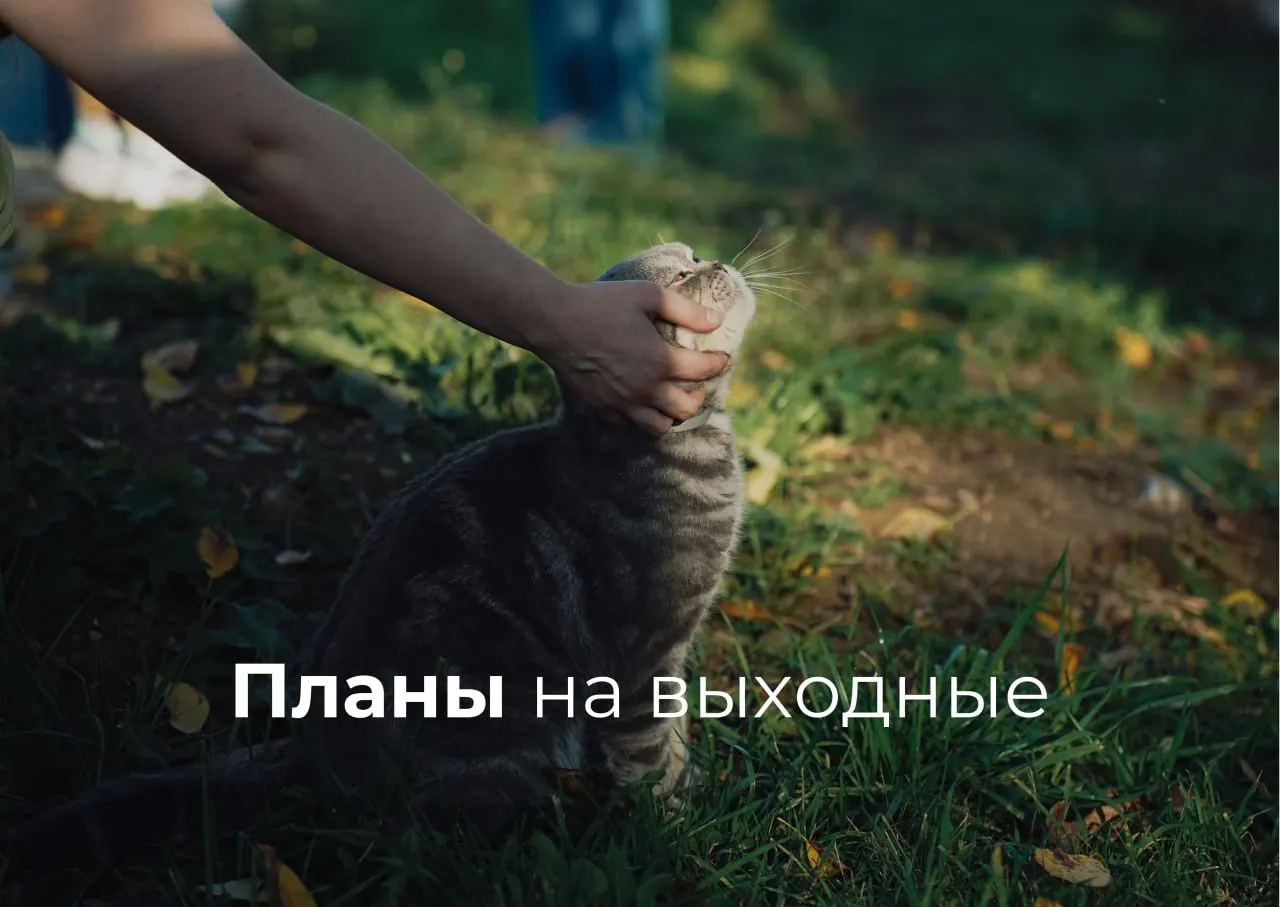 Короткая подборка мероприятий в Екатеринбурге на 19–21 июня: прогулки, спектакли, маркеты, экскурсии и показ футбольного матча на большом экране.