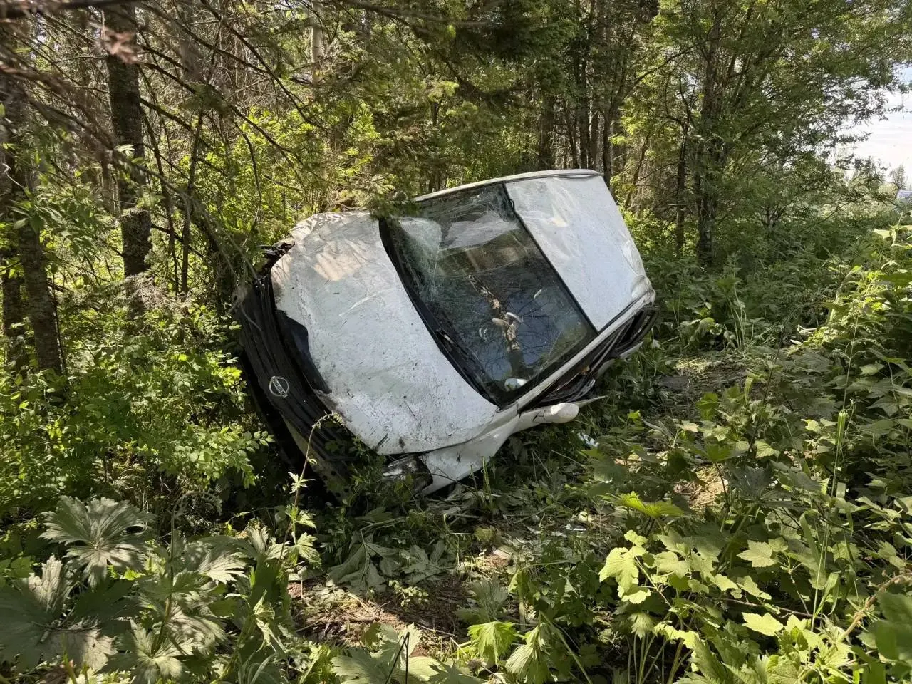 Утром 23 июня на трассе Р-257 женщина на «Ниссане» съехала в кювет: 42‑летняя водительница скончалась, трое её детей доставлены в больницу.
