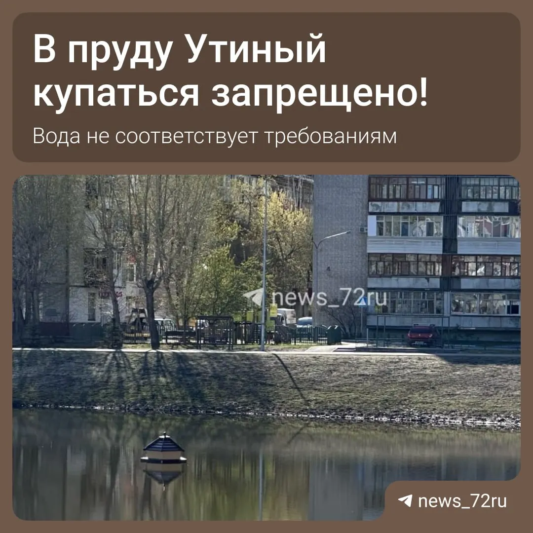 Роспотребнадзор взял пробы воды в карьере «Утиный». Лабораторные исследования показали несоответствие воды требованиям санитарного законодательства — купание запрещено.