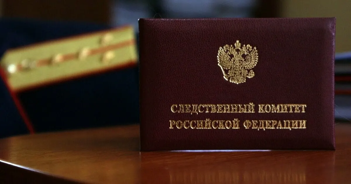 Следственные органы возбудили уголовное дело после сообщений о том, что в Калининградской области мужчина избил ребёнка, а мать, по данным публикаций, в этот момент не вмешалась.