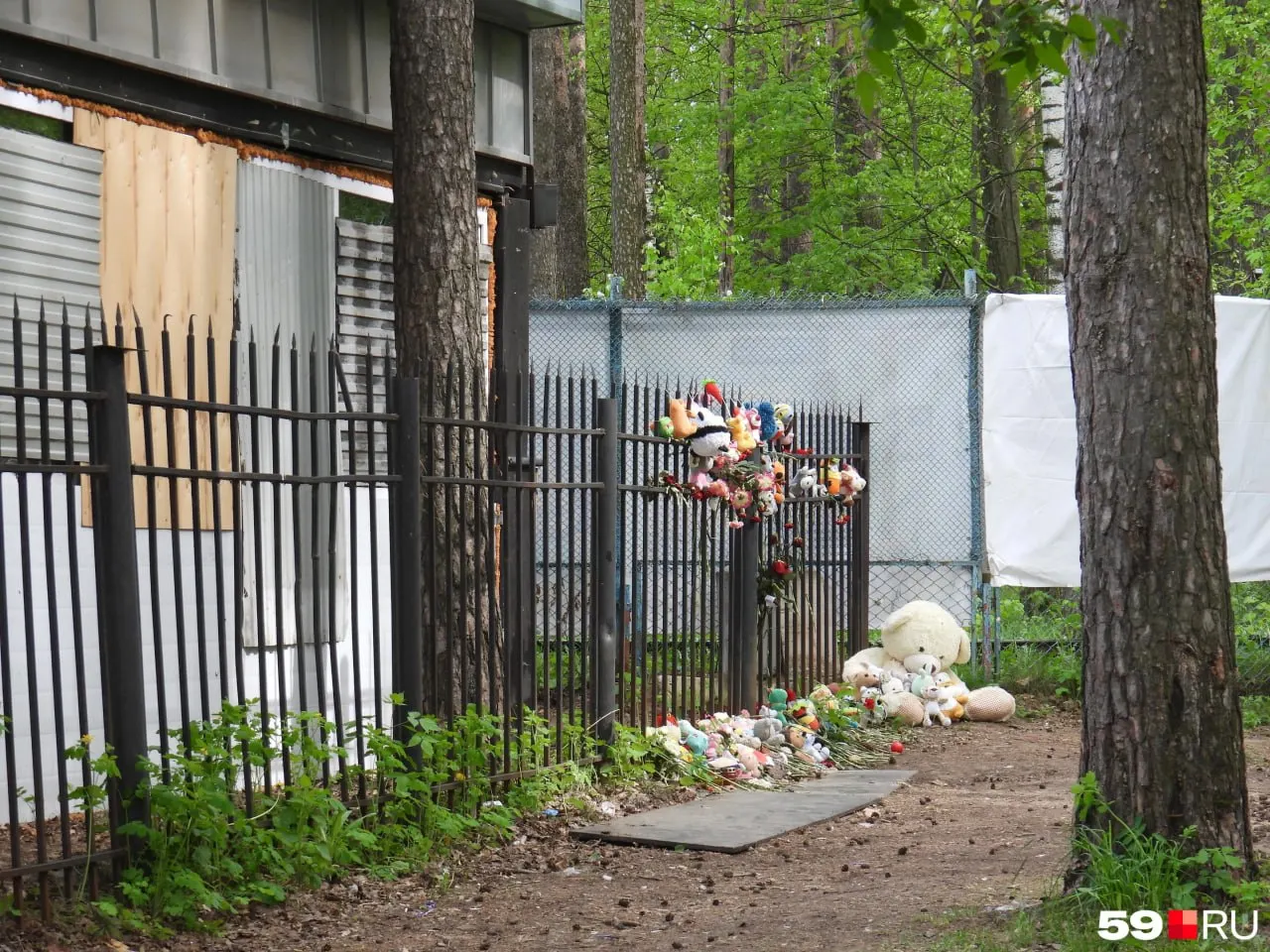 Глава Следственного комитета потребовал отчёт о ходе расследования гибели молодой женщины, найденной на заборе в Закамске. В соцсетях обсуждают информацию о возможном прекращении уголовного дела.