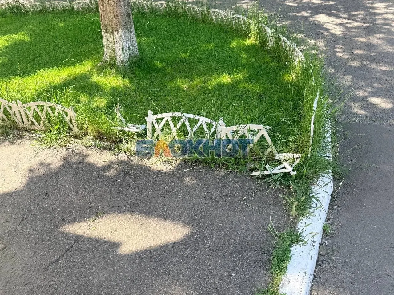 Камеры зафиксировали молодого человека, который топтал и ломал декоративный забор у дома на Портовой, 170 в Ростове.