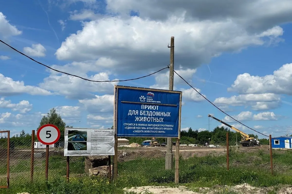 В деревне Минеево возводят приют на 300 мест с карантинной зоной и ветеринарным пунктом — власти обещают временный уход, вакцинацию, лечение и возвращение питомцев владельцам или поиск новых хозяев.