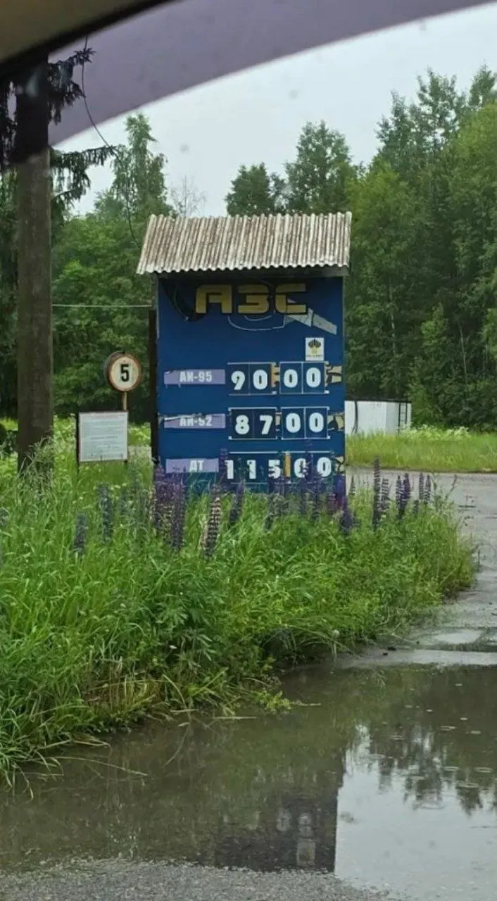 В Суоярви и Медвежьегорске водители заметили подорожание бензина и дизеля на частных заправках; у сетевых АЗС таких скачков не фиксируют.