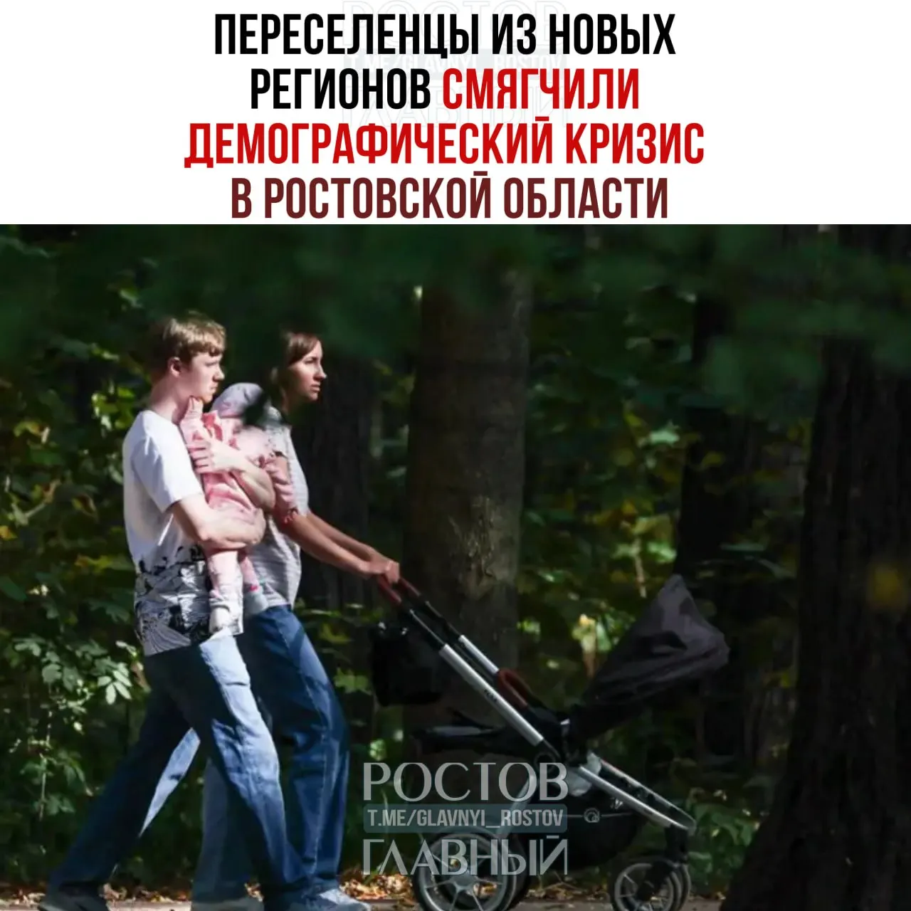 Учёные ЮРГПУ (НПИ) имени Платова отмечают, что приток переселенцев из Донецкой, Луганской, Херсонской и Запорожской областей временно компенсировал убыль населения в регионе, но эффект может оказаться кратковременным.