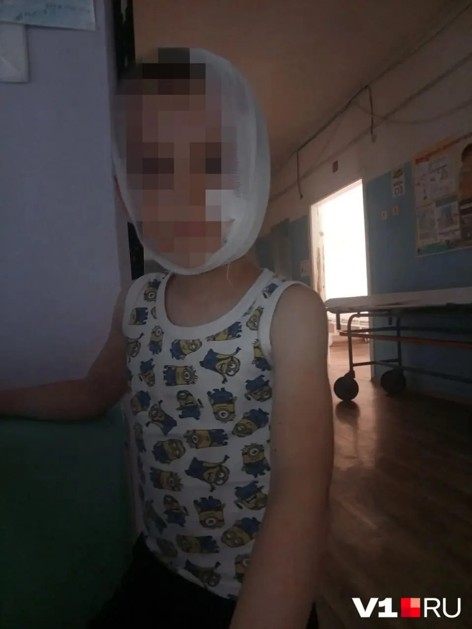 Во время игры в песочнице безнадзорная собака напала на пятилетнего мальчика; родители жалуются на распространение бродячих животных и отсутствие реакции властей.