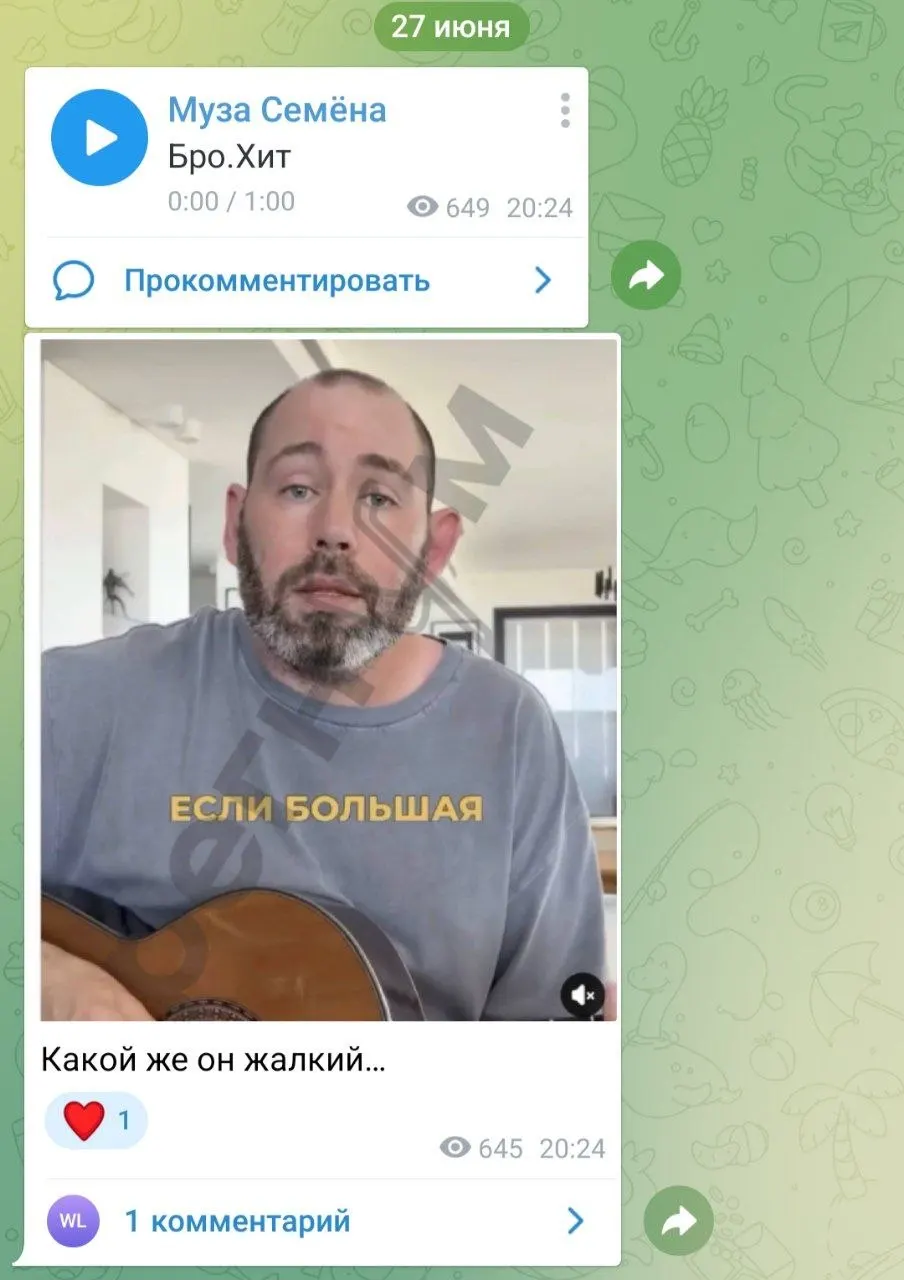 Елена Пензина раскритиковала Семёна Слепакова после выхода сатирической песни о современных событиях и опубликовала скриншот видео с резким комментарием.