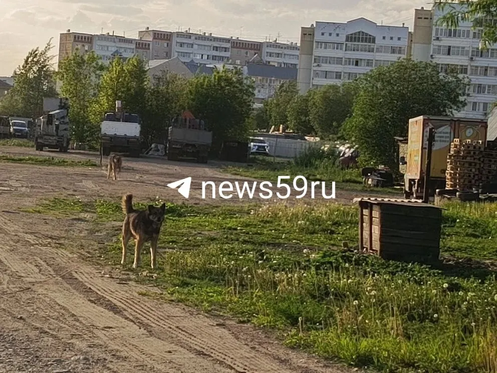 Ребёнок провёл в больнице месяц: пришитые лоскуты не прижились, начался некроз. Планируется пересадка кожи с бедра и ягодицы в ожоговом отделении.