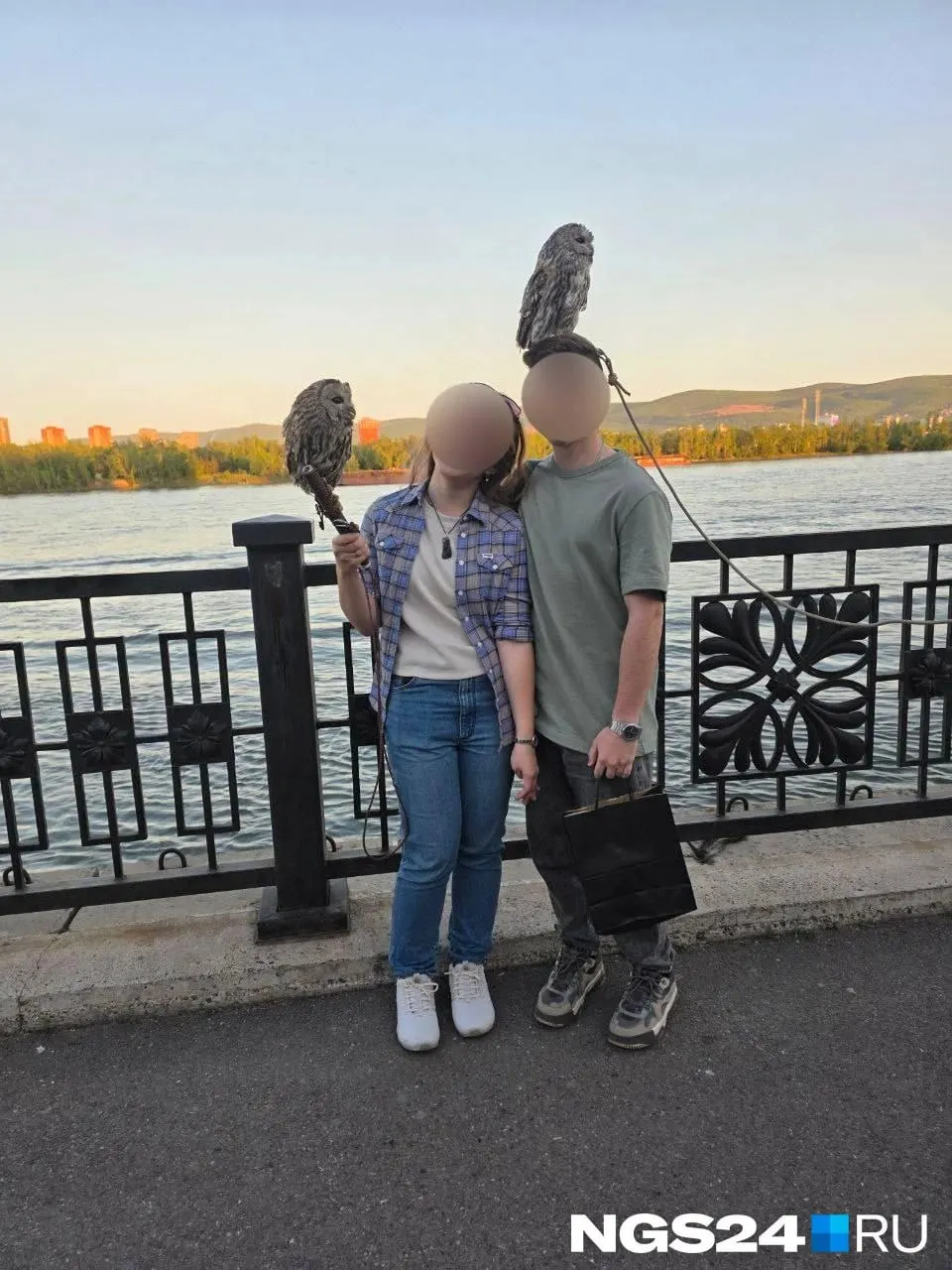 Во время прогулки по набережной молодой человек сфотографировал сов и впоследствии был вынужден заплатить 7 тыс. рублей; по факту инцидента зарегистрировано заявление в полицию.
