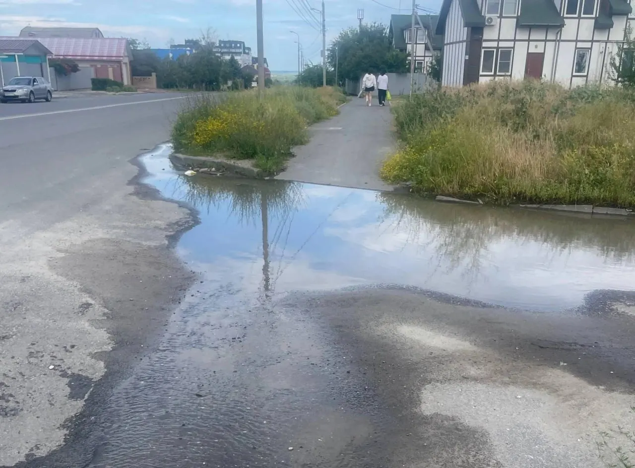 Жильцы микрорайона и таунхаусов на улице Маршала Василевского сообщили о протечке, которая стекает в сторону психиатрической больницы и Второй продольной магистрали; коммунальщики пообещали оперативно устранить утечку.