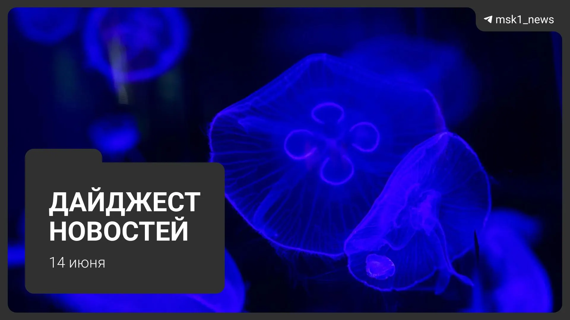 Короткий обзор ключевых событий дня: продление Сокольнической линии, новый спуск у Патриаршего моста, арест по делу об убийстве и концепт станции «Курьяново».