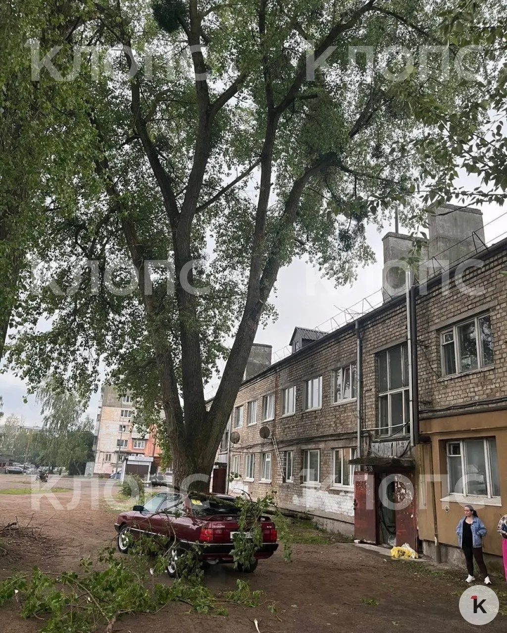 В микрорайоне Александра Космодемьянского на крышу припаркованного автомобиля упала большая ветка — активист связывает инцидент с незавершёнными работами по обрезке деревьев и намерен обратиться в прокуратуру.