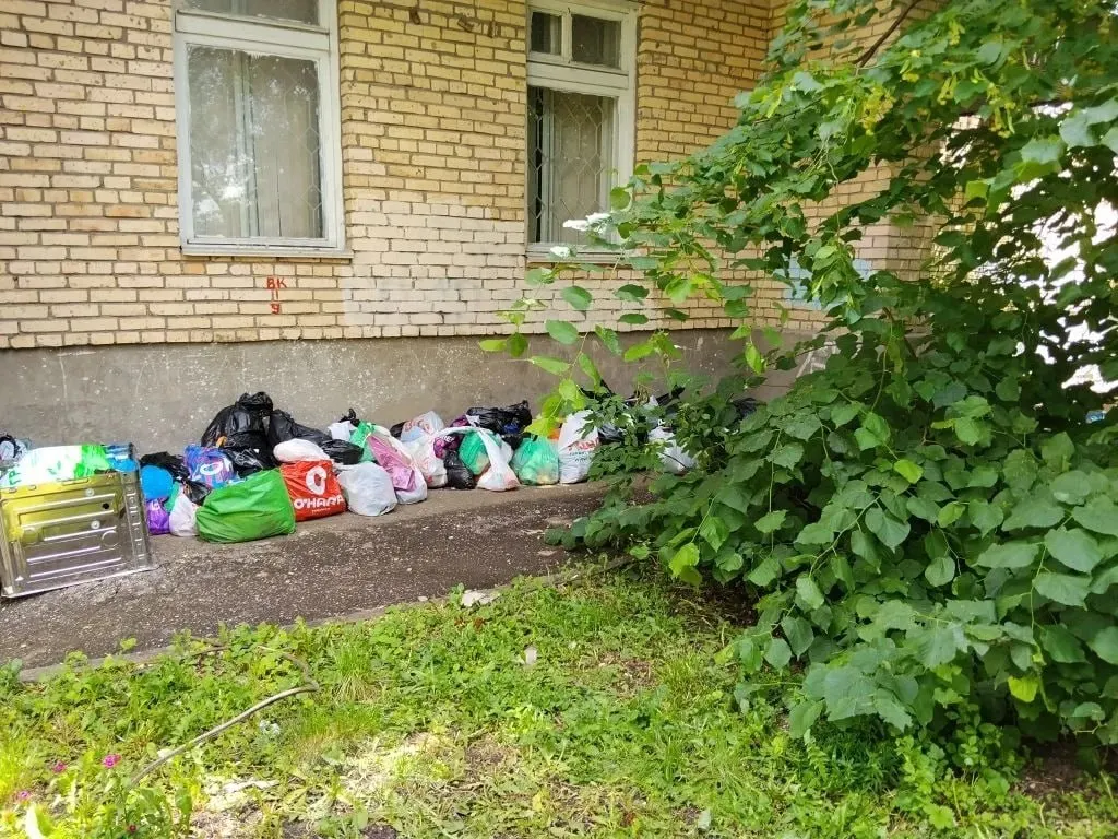 Жильцы дома №133а сообщают, что пожилая женщина собирает вещи с помойки, складирует мешки у подъезда, спит на улице и ругается на просьбы о помощи. Из-за накопленных пакетов в доме появились тараканы и крысы, а администрация, по словам горожан, не реагирует.