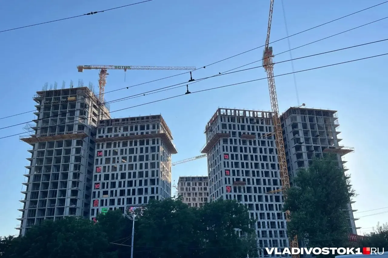 Администрация Владивостока опубликовала итоги общественных обсуждений: из 322 участников 321 человек проголосовал против проекта застройки сопки Орлиной. В проекте предусматривалась застройка 14,8 га с домами до 25 этажей, гостиницей и сносом части домов.