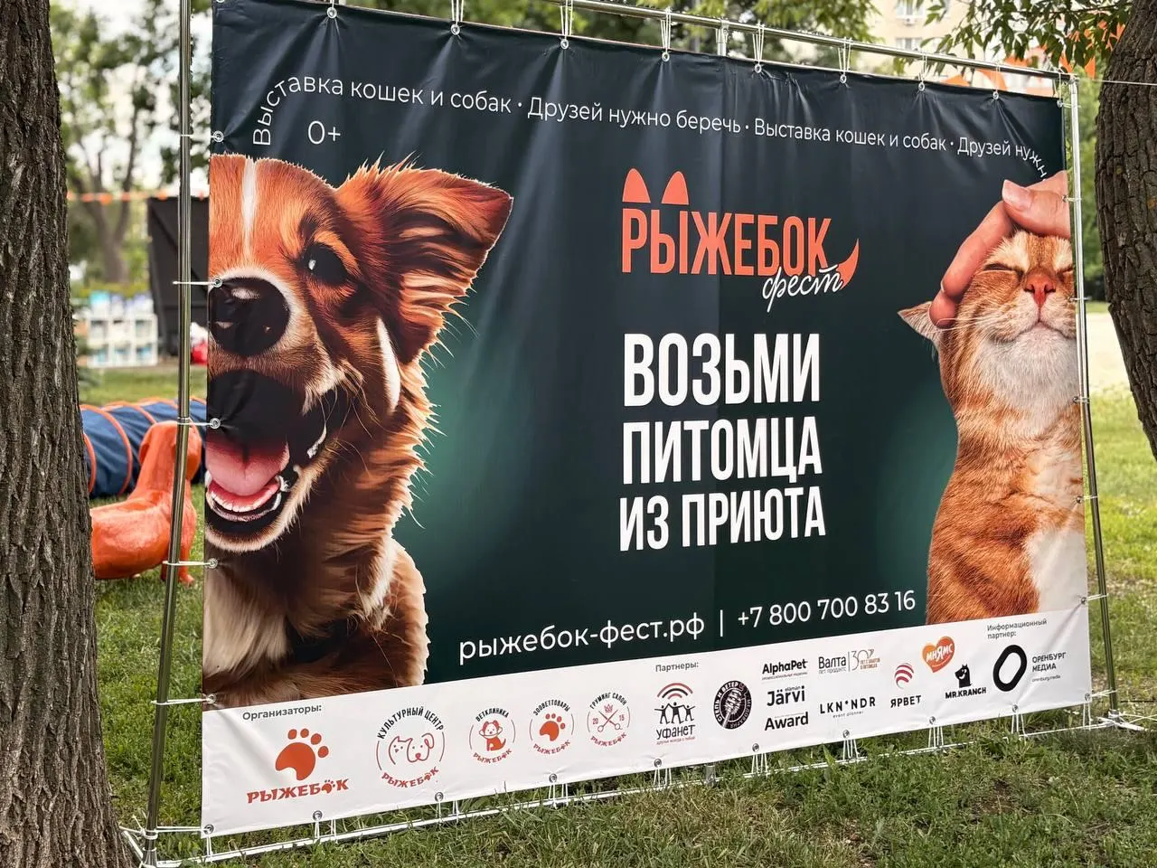 За два дня фестиваля в Оренбурге 26 кошек и семь собак из приютов обрели хозяев. Мероприятие проводится в девятый раз, чтобы показать, что подобранные с улицы животные могут стать членами семьи.