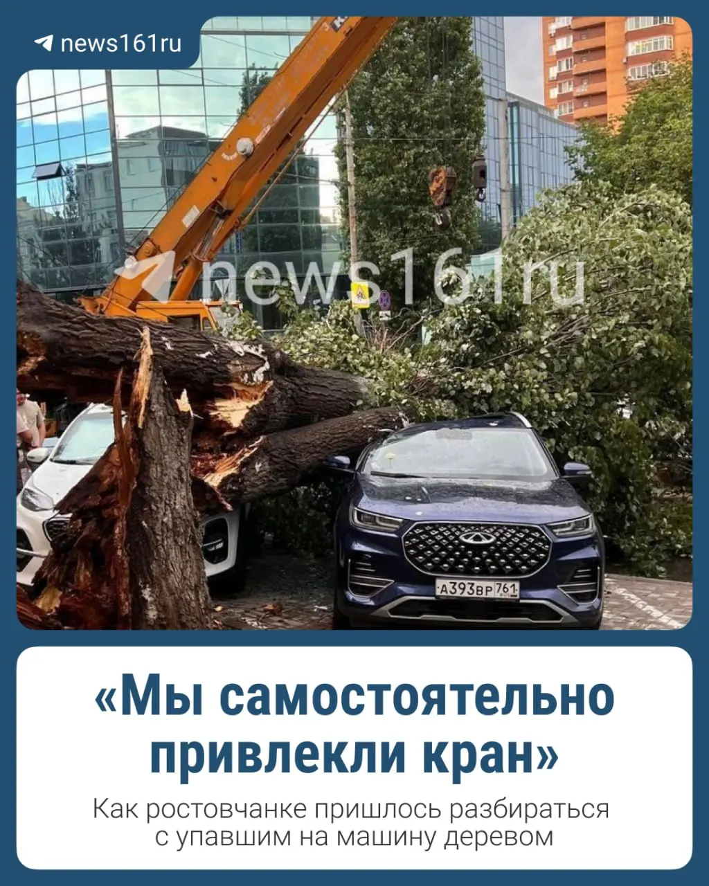 26 июня в Ростове проливной дождь с градом повалил около 37 деревьев и веток. Один человек пострадал, а на улице Красноармейской большое старое дерево упало на несколько автомобилей — у одной из владелиц от машины почти ничего не осталось.