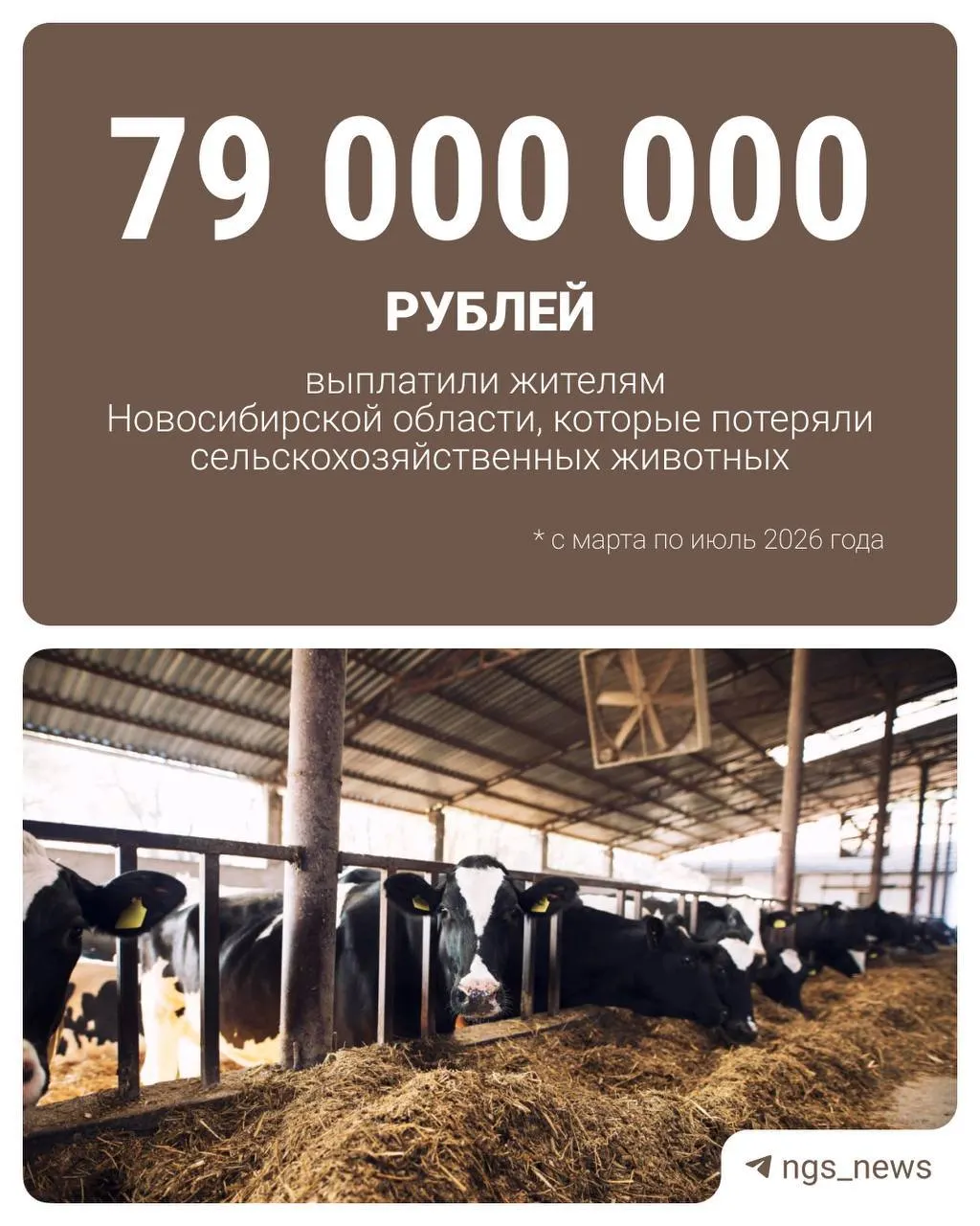 Власти региона вместе с некоммерческими организациями помогут фермерам: государство компенсирует половину затрат на приобретение скота. Кроме того владельцам положена ежемесячная соцвыплата — её уже получили 274 человека.