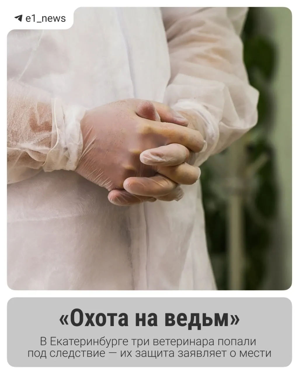 Следствие утверждает, что три сотрудницы городского управления ветеринарии получали взятки и закрывали глаза на качество товаров; обвиняемые вину отрицают.