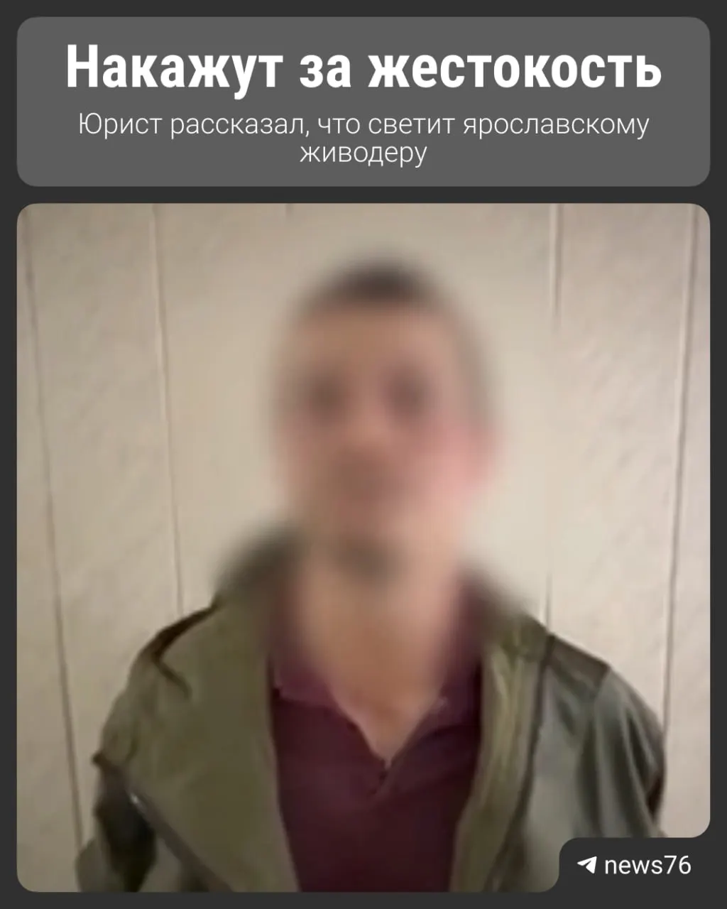 Видео с камеры во дворе на проспекте Ленина, 14 помогло опознать животное и найти подозреваемого; против мужчины возбуждено уголовное дело, его отпустили под подписку о невыезде.