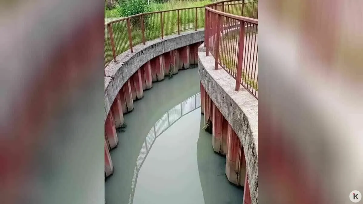 Жители района жалуются на мутную, зловонную воду в ручье на улице Гагарина. Лабораторные исследования выявили превышение норм: одному предприятию выдали предписание и возбудили административное дело, проверку других организаций продолжают.