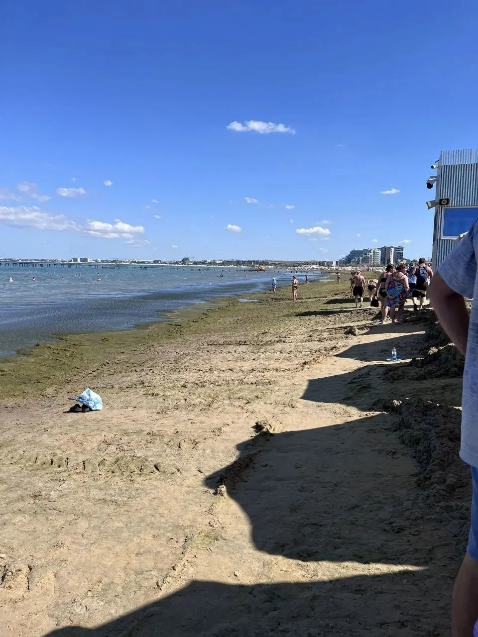 На центральном пляже Анапы вновь скопились зеленые водоросли — фотографии опубликовал местный блогер. На других участках, в частности на Лечебном пляже, купаться пока можно.