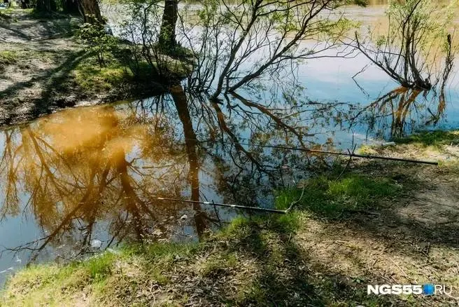 11 июля около 13:30 в районе СНТ «Дружба» в реке Омь во время купания утонул 40‑летний мужчина. Сотрудники полиции Омской области устанавливают обстоятельства и ведут поиск тела. Ранее в регионе также фиксировались случаи утопления.