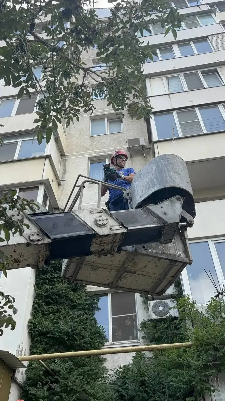 Спасатели при поддержке автовышки сняли с карниза маленького мяукающего котёнка: животное успешно эвакуировали и отвели в безопасное место.