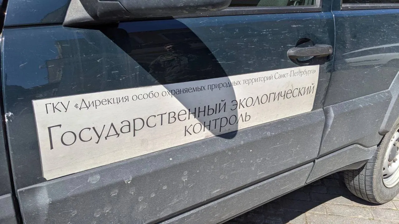 Уличные фотографы предлагают держать и гладить животных за деньги — это причиняет им стресс и жестокое обращение. Зоопарк просит не поддерживать такую практику и сообщать о нарушениях.