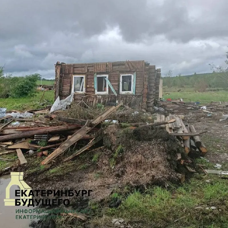 Во время урагана собачью будку с животным унесло в лес. Животное выбралось и вернулось к разрушенному дому, где ждало хозяев — местные заметили питомца и помогли воссоединению.