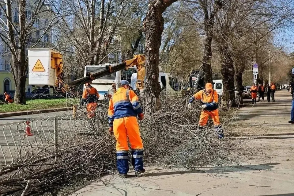 На каждого жителя Самары приходится всего около 4,5 квадратного метра зелёных насаждений при нормативе 16 м². Деревья исчезают из‑за застройки, вредителей и ограничений на посадки; новых парков в последние десятилетия не появилось.