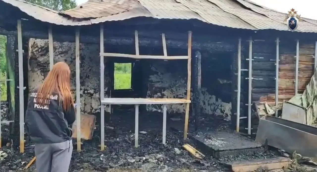 Жительница Усть‑Калманского района знала о неисправной электропроводке, но не устранила её. После пожара, в котором погибла трёхлетняя дочь, суд признал женщину виновной в причинении смерти по неосторожности и назначил год ограничения свободы.