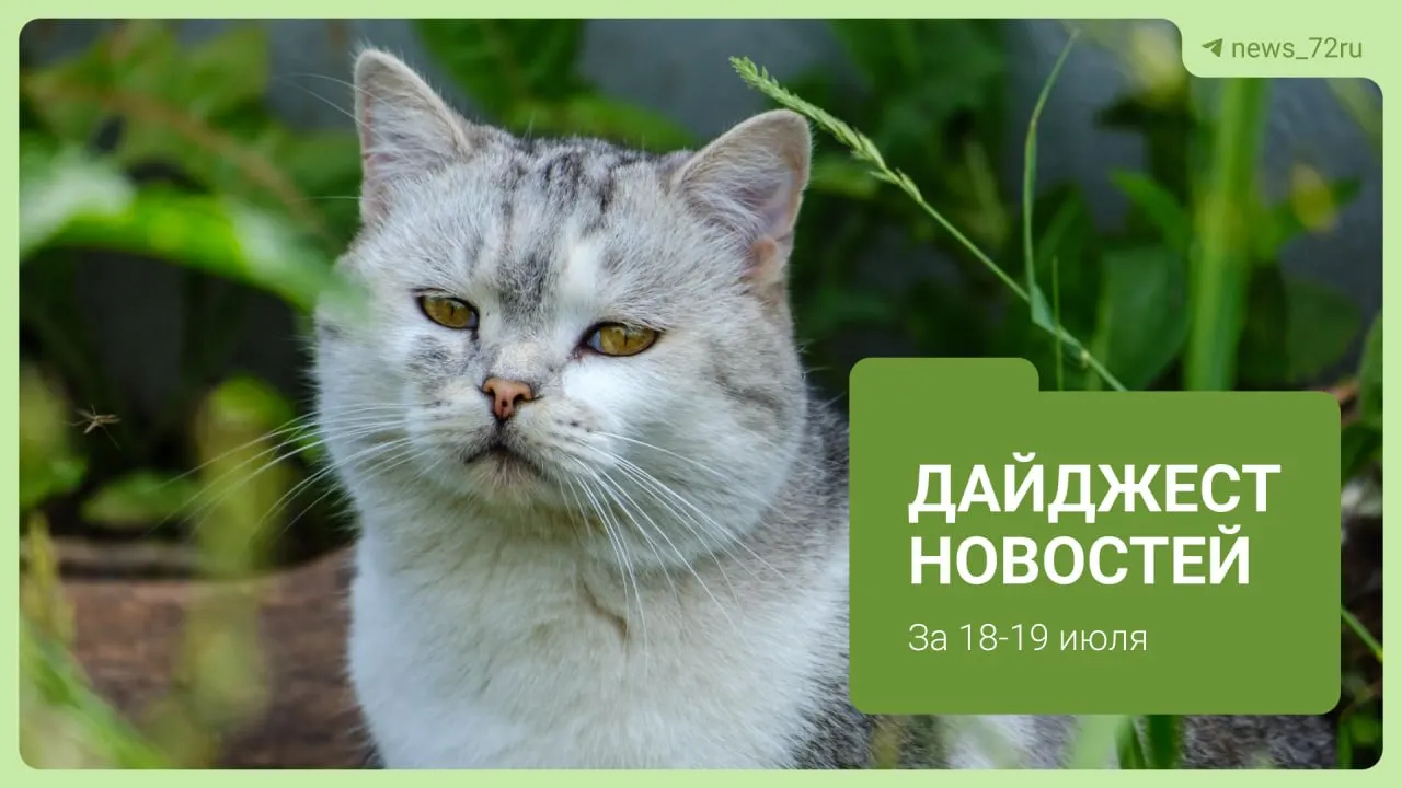 Краткий обзор главных событий Тюмени: конфликт на автозаправке, изменения в приёме врачей, происшествия в городе и заметки о культуре и отдыхе.