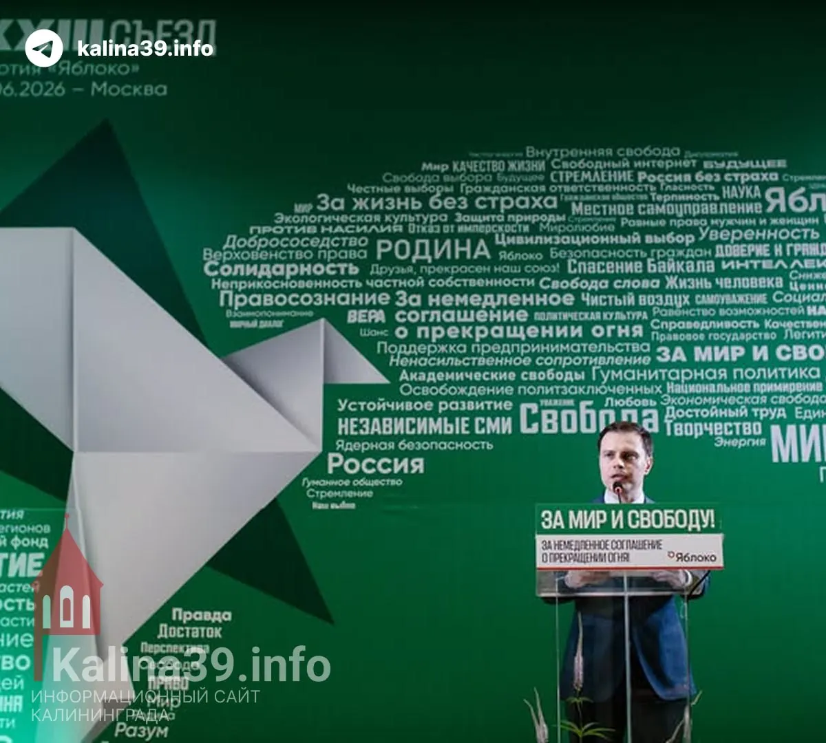 Партия заявила, что в её предвыборную программу входят немедленное прекращение огня, дипломатия и переговоры, отказ от ядерной эскалации, свобода информации и прекращение политических репрессий.