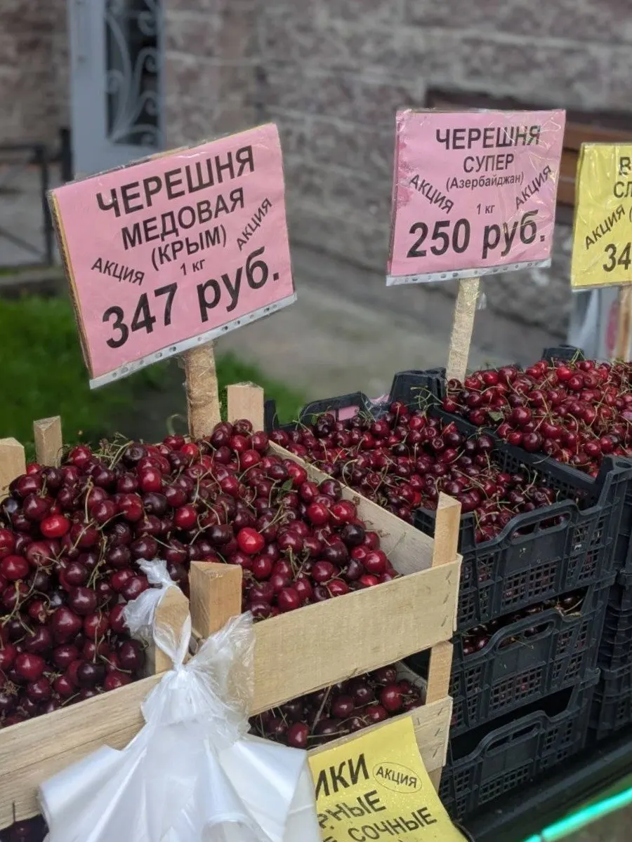Килограмм черешни в Петербурге стал дороже примерно на пятач за год, однако летом цены снизились: на рынках — от 280 до 1 300 руб., в супермаркетах — около 400–700 руб. Рост цен эксперты связывают с ограничениями импорта и погодными условиями.