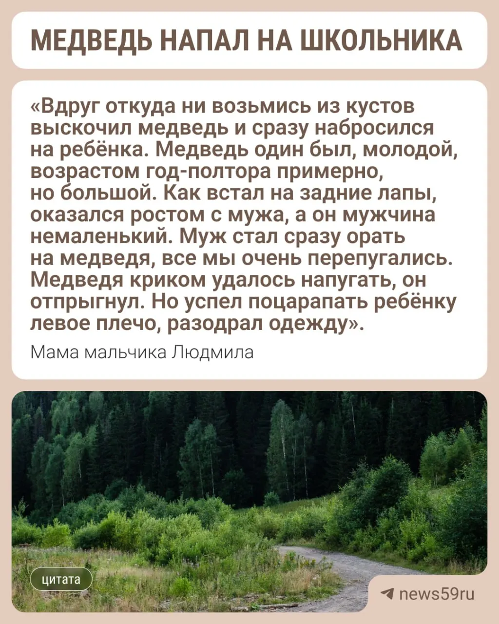 Во время сбора ягод и грибов у леса молодой медведь атаковал ребёнка — его поцарапал и разорвал одежду. Семья отпугнула зверя криком и отвезла мальчика в больницу.