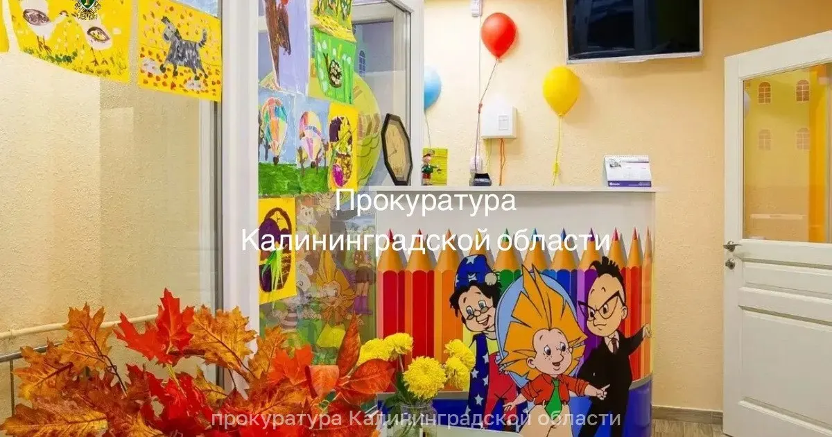Организация работала без проведения санитарно-эпидемиологической экспертизы, поэтому надзорные органы прекратили её деятельность.