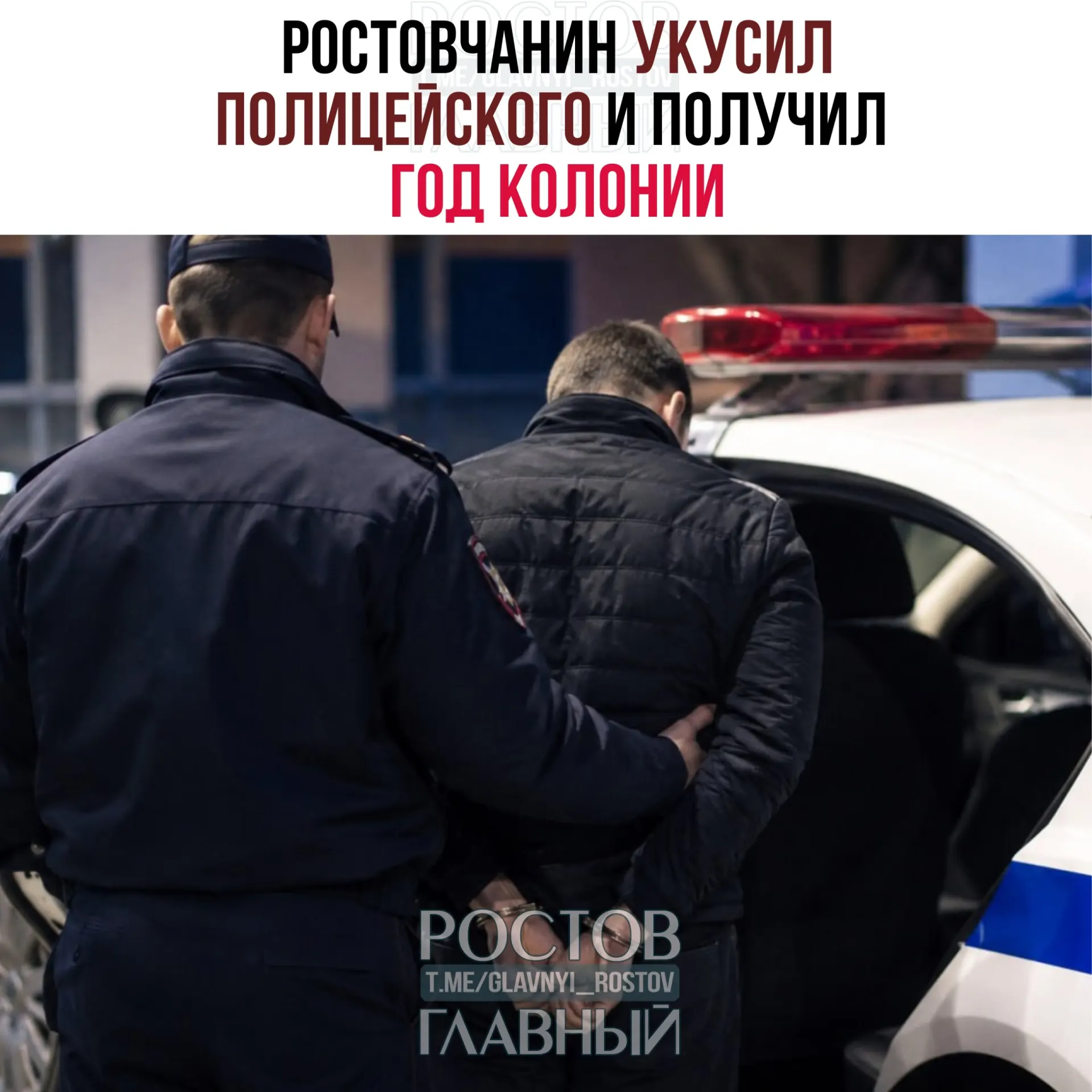 Во время задержания в январе 2025 года пьяный мужчина укусил полицейского в бедро и ударил его ногой; суд приговорил его к одному году колонии‑поселения.