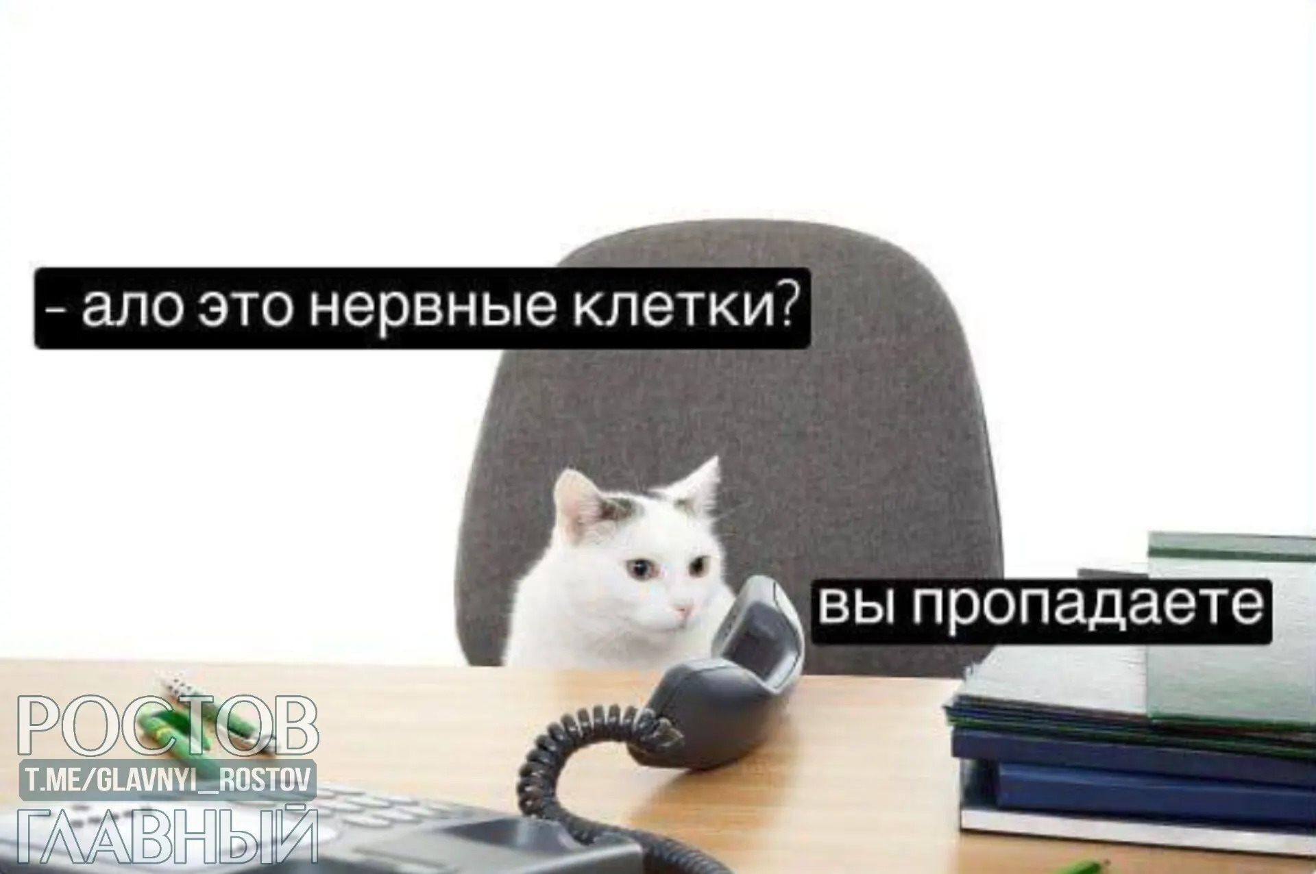 Опрос показывает, что большинство россиян признают склонность к переработкам — многие думают о работе в выходные и отпуска, а почти 60% трудятся более 8 часов в день.