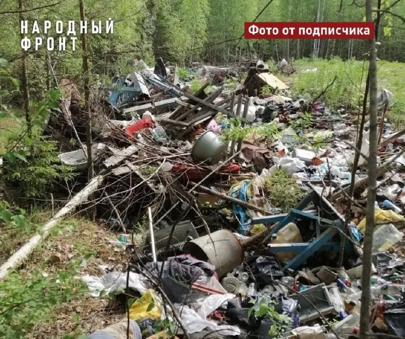 Несанкционированные свалки у населённых пунктов Каргасокского района годами остаются без уборки: мусор привлекает медведей, а местные опасаются выходить в лес за грибами и ягодами.