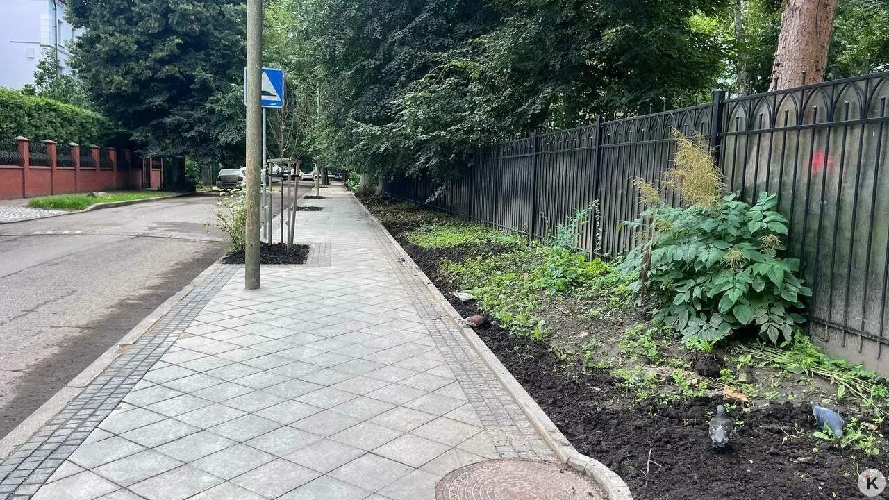 Мэрия добивается в суде освобождения территории у Литовского вала и сноса самовольных построек, чтобы устроить безопасный подход к детсаду рядом со школой №24.