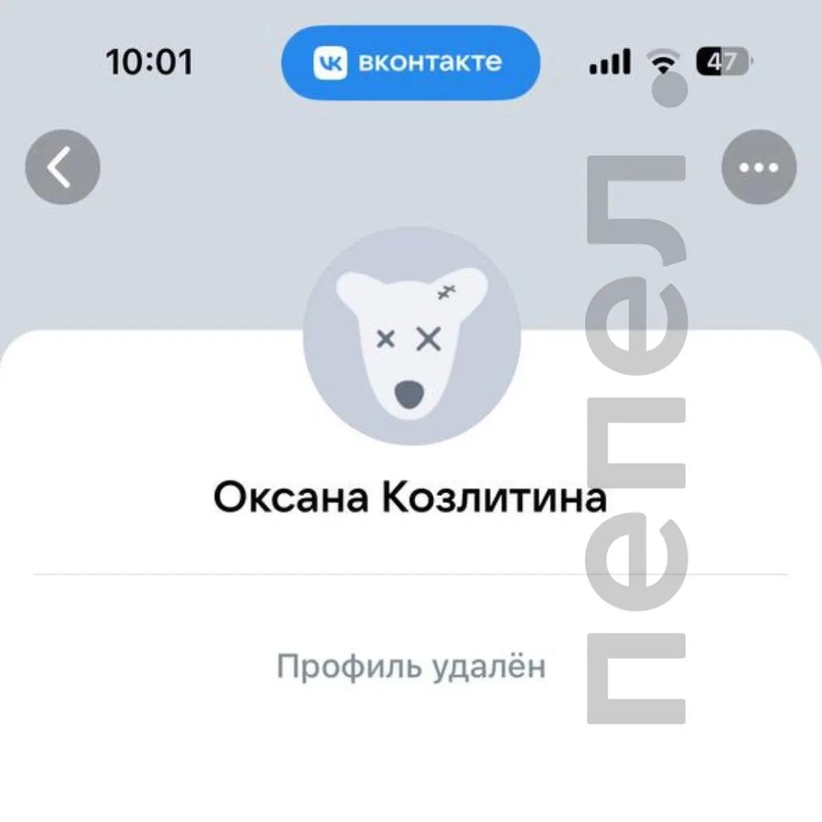 Страницу Козлитиной во «ВКонтакте» удалили, на обращения жителей теперь отвечает первый заместитель министр Максим Канищев. Официального объявления об отставке пока нет.