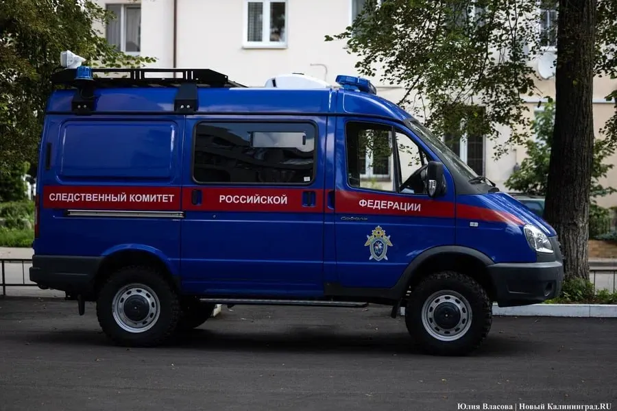 Руководитель регионального следственного управления сообщил о росте уголовных дел против несовершеннолетних по тяжким и особо тяжким составам: за первое полугодие 2026 года число дел и обвиняемых увеличилось по сравнению с прошлым годом.