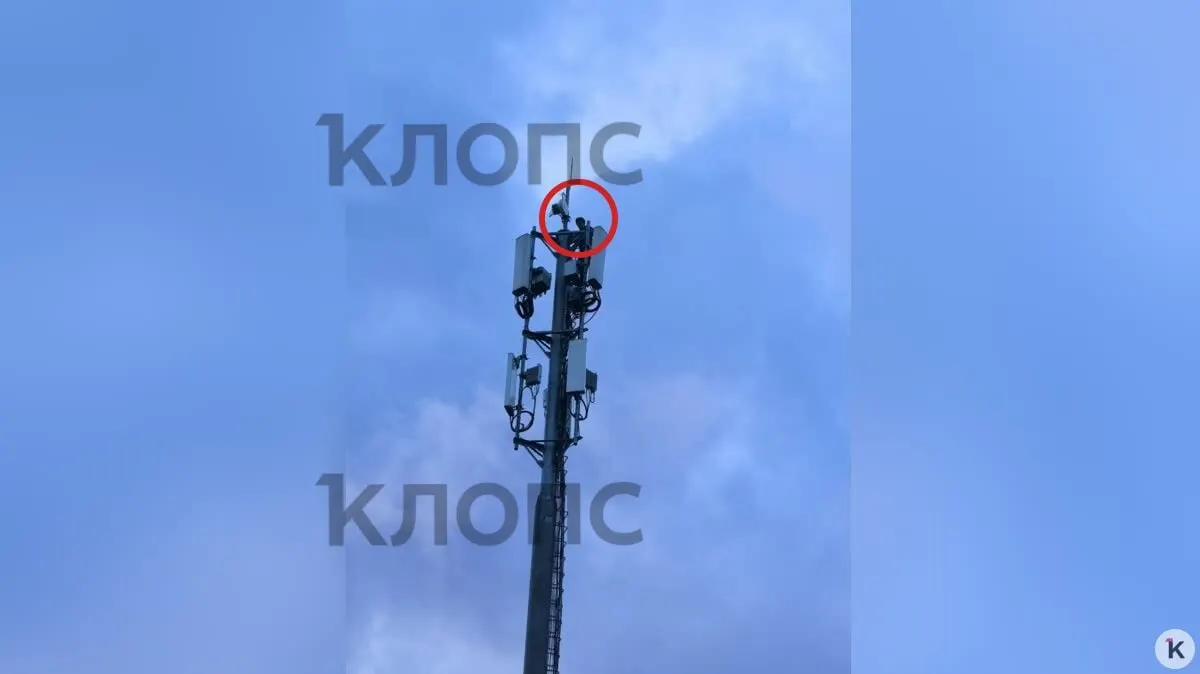 Вечером 5 июля возле дома на Рассветной прохожий заметил, как подросток забрался на вышку сотовой связи. Свидетель вызвал 112, обращения передали участковому, жители обеспокоены опасными развлечениями молодёжи.