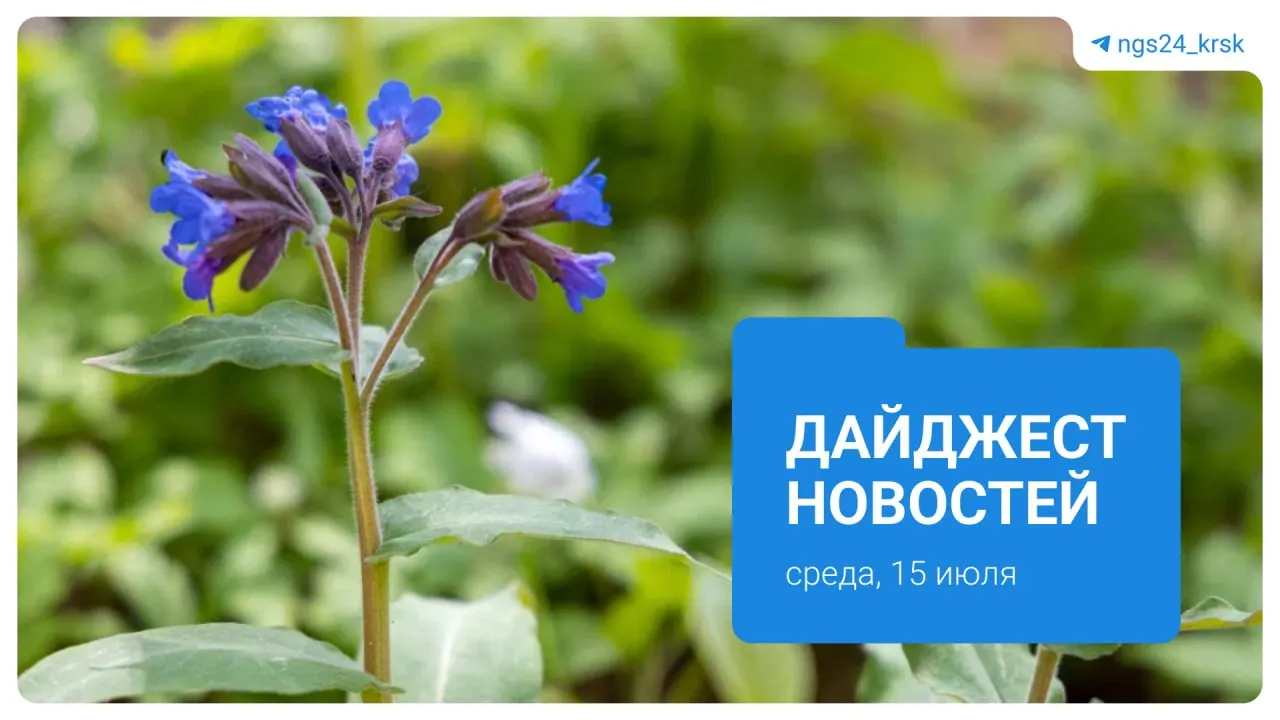 Краткий обзор главных новостей: рост цен на бензин, строительство эскалаторного тоннеля на новой станции метро, инцидент в аэропорту, закрытие книжного магазина, приостановка угольного проекта и конфликт с блогером на дороге.