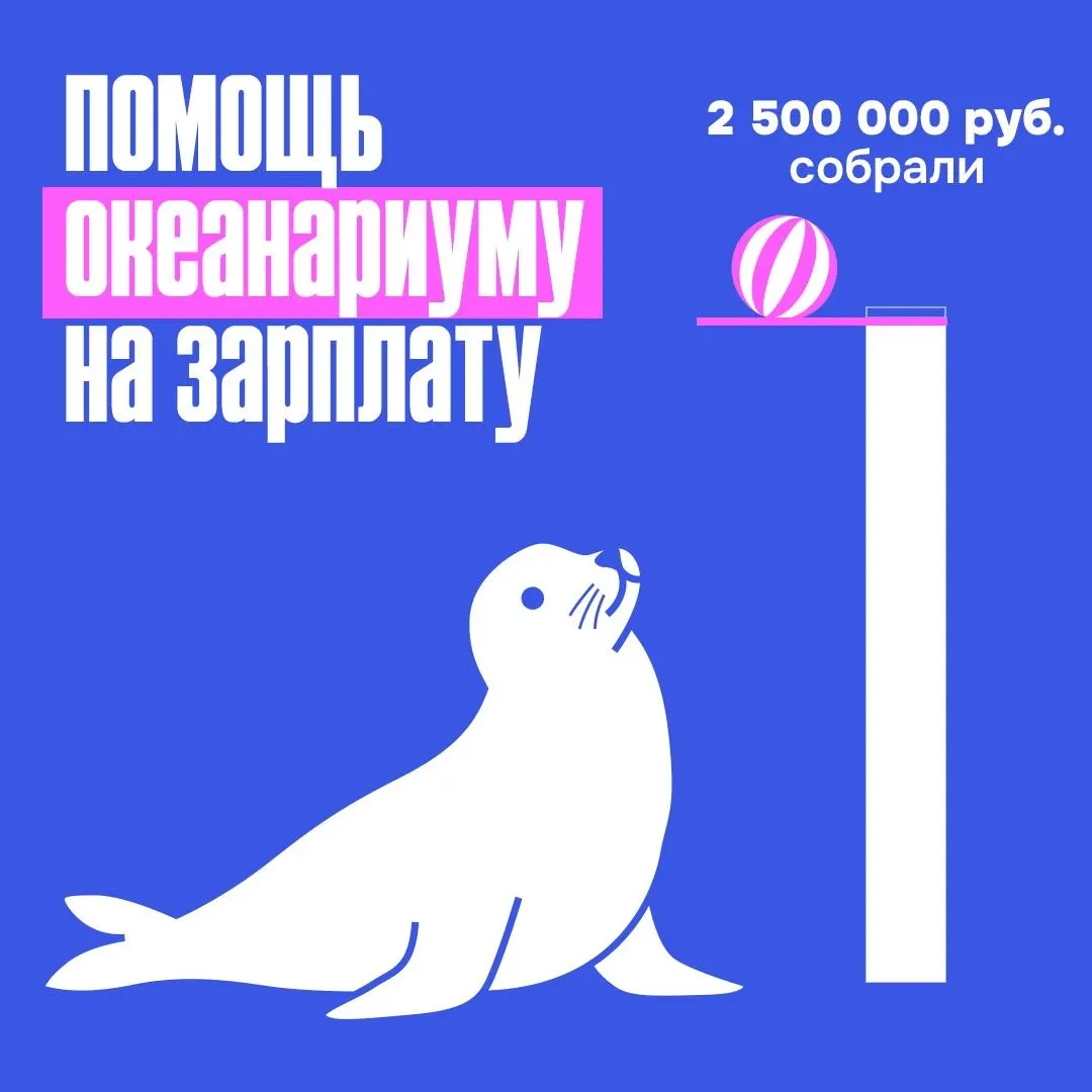 Собранные 2,5 млн рублей позволили погасить четырёхмесячную задолженность по зарплате. Сбор остаётся открытым — работы по сохранению и восстановлению деятельности океанариума продолжаются.