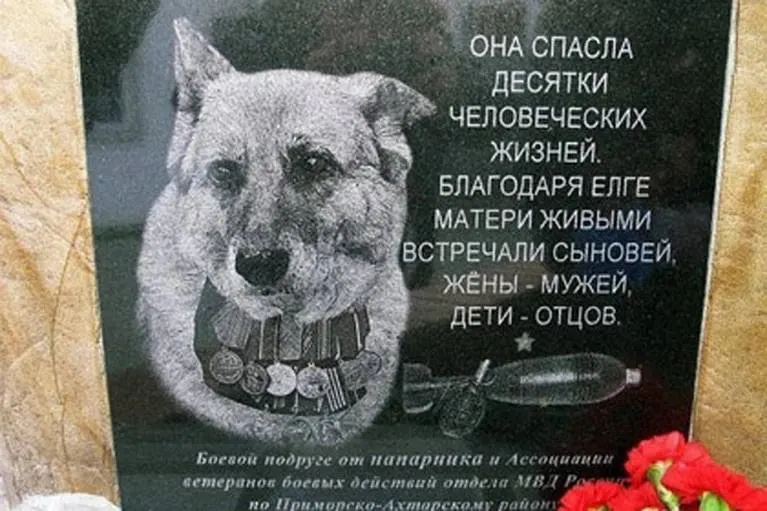 В городе открыли бронзовую фигуру овчарки по кличке Елга — собаки, которая во время службы не раз спасала жизни сотрудников и погибла при исполнении обязанностей.