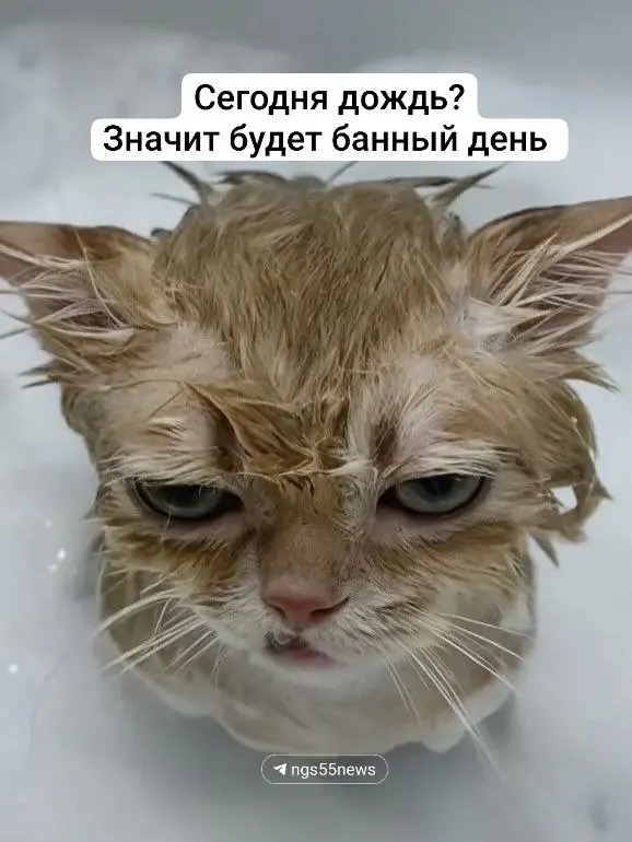 Плановые и внеплановые отключения горячей воды оставляют дома без комфорта: люди сообщают о затянувшихся ремонтах, неожиданных уведомлениях и длительном отсутствии горячей воды.