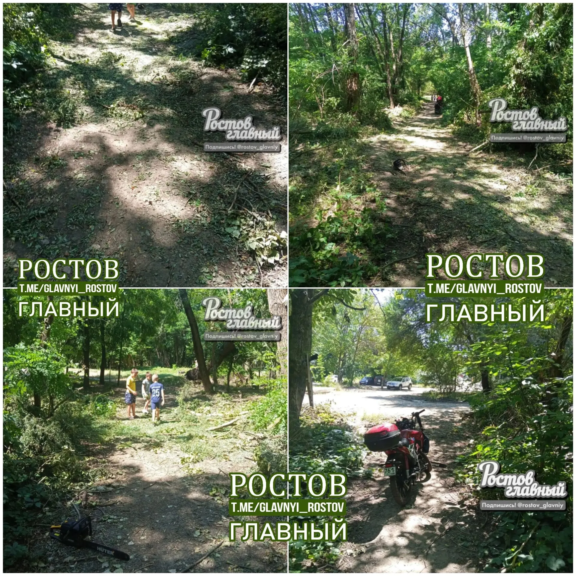 Муж одной из местных жительниц вместе с детьми расчистил тропинки в небольшой роще на Берберовской улице, наводя порядок в районе.